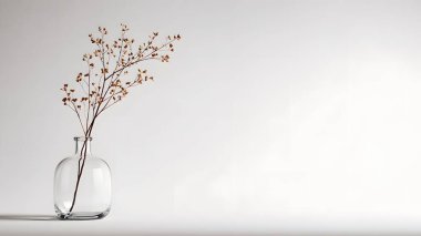 Elegant dried flower stems stand in a transparent round glass vase, creating a calm, minimalist, and highly artistic room atmosphere.