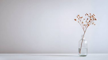 Zarif kurumuş çiçek sapları şeffaf, yuvarlak bir vazoda duruyor. Sakin, minimalist ve sanatsal bir oda atmosferi yaratıyor..