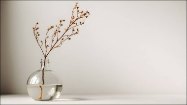 Zarif kurumuş çiçek sapları şeffaf, yuvarlak bir vazoda duruyor. Sakin, minimalist ve sanatsal bir oda atmosferi yaratıyor..
