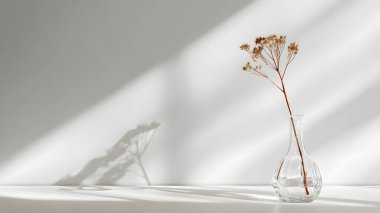 Zarif kurumuş çiçek sapları şeffaf, yuvarlak bir vazoda duruyor. Sakin, minimalist ve sanatsal bir oda atmosferi yaratıyor..