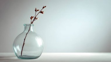 Zarif kurumuş çiçek sapları şeffaf, yuvarlak bir vazoda duruyor. Sakin, minimalist ve sanatsal bir oda atmosferi yaratıyor..