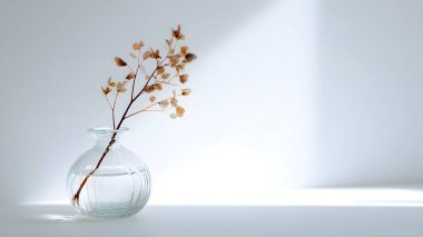 Zarif kurumuş çiçek sapları şeffaf, yuvarlak bir vazoda duruyor. Sakin, minimalist ve sanatsal bir oda atmosferi yaratıyor..