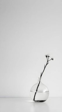 Zarif kurumuş çiçek sapları şeffaf, yuvarlak bir vazoda duruyor. Sakin, minimalist ve sanatsal bir oda atmosferi yaratıyor..