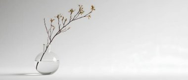 Zarif kurumuş çiçek sapları şeffaf, yuvarlak bir vazoda duruyor. Sakin, minimalist ve sanatsal bir oda atmosferi yaratıyor..