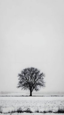 Bu minimalist kış manzarasında engin ve kasvetli bir gökyüzünün altında yumuşak bir yamaçta tek başına duran yapraksız bir ağaç var..