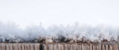 Karmaşık buz kristalleri ve kırılgan kar taneleri kırsal bir dalda dinlenirken detaylıca yakalanır..