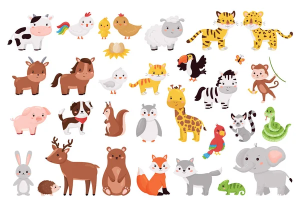 Cartoon animals and birds collection. Cute jungle, forest and farm animals set isolated on white background. Vector illustration for children education. — Stock Vector
