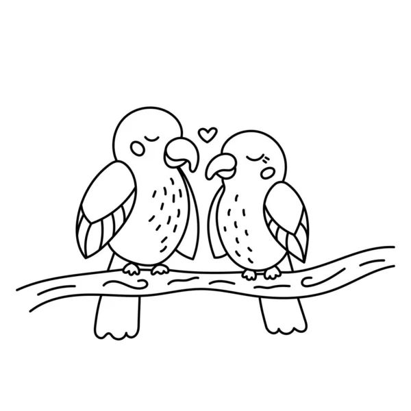 Hand drawn doodle lovebirds sitting on branch. Tropical exotic birds. Line art parrots. Outline black and white vector illustration. — Stock Vector