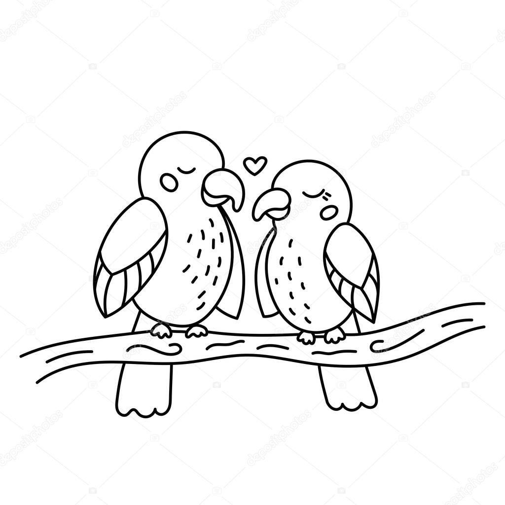 Hand drawn doodle lovebirds sitting on branch. Tropical exotic birds. Line art parrots. Outline black and white vector illustration.