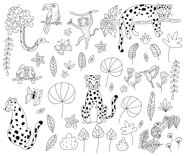 Conjunto Vectorial Animales Selva Para Colorear Libro Leopardos Garabatos Dibujados — Vector de stock