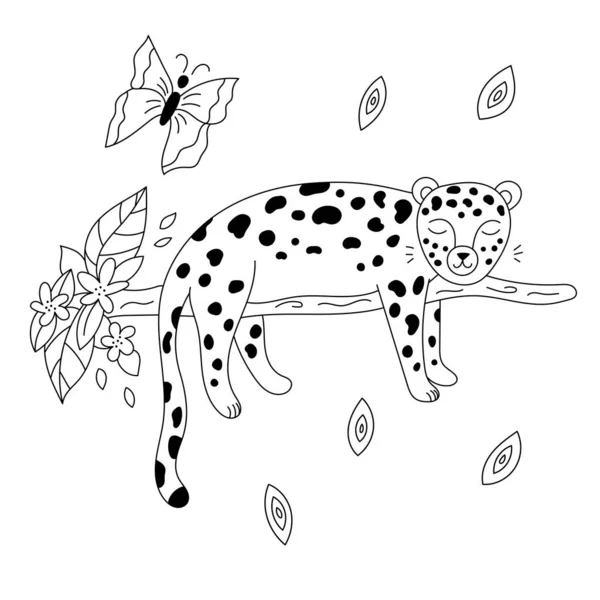 Hand drawn doodle leopard sleeps on branch. Outline jungle animals. Coloring page for children. Vector illustration. — Stock Vector