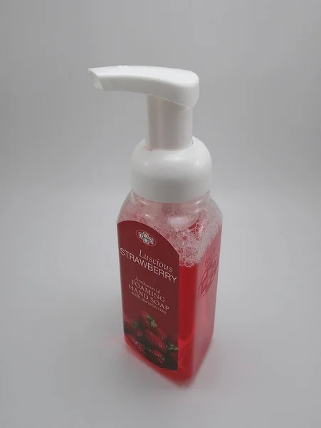 Cuezon City Nov Cleene Antibacterial Foaming Hand Socurizer Steeurizer 2020 — 스톡 사진