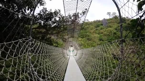 Pont Suspendu Suspendu Corde Masungi Georeserve Rizal Philippines — Video