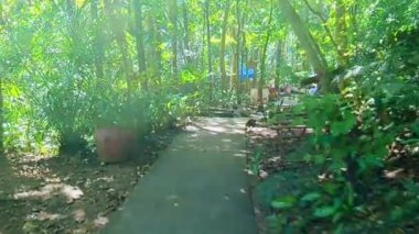 RIZAL, PH - 21 Aralık - Daranak 21 Aralık 2019 'da Tanay, Rizal, Filipinler' de çevresindeki kayalar ve akarsularla birlikte düştü.