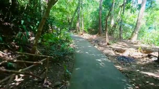 Daranak Vodopády Tanay Rizal Filipíny — Stock video