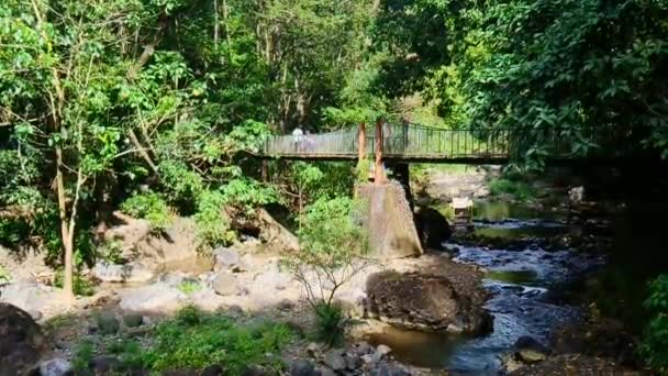 Rizal Dec Daranak Falls Surrounding Rocks Stream December 2019 Tanay — Stock Video