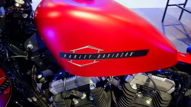 Pasay Junio Harley Davidson Motocicleta Junio 2019 Makina Moto Exposición — Vídeos de Stock