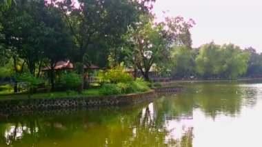 QUEZON ŞEHRİ, PH - 6 Ekim - Ninoy Aquino Parkları ve Vahşi Yaşam Merkezi lagünü 6 Ekim 2018, Quezon City, Filipinler.