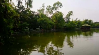 QUEZON ŞEHRİ, PH - 6 Ekim - Ninoy Aquino Parkları ve Vahşi Yaşam Merkezi lagünü 6 Ekim 2018, Quezon City, Filipinler.