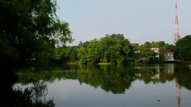 QUEZON ŞEHRİ, PH - 6 Ekim - Ninoy Aquino Parkları ve Vahşi Yaşam Merkezi lagünü 6 Ekim 2018, Quezon City, Filipinler.