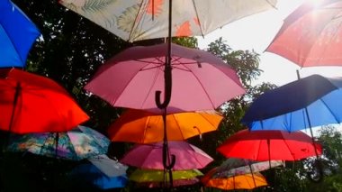 QUEZON ŞEHRİ, PH - 6 Ekim - Ninoy Aquino Parkları ve Vahşi Yaşam Merkezi 6 Ekim 2018 'de Quezon City, Filipinler' de şemsiye asıyor.