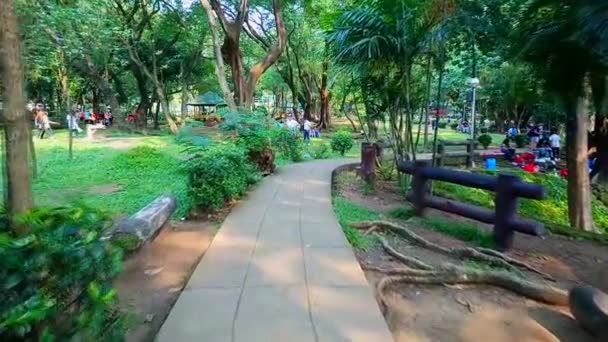 Quezon City Octobre Ninoy Aquino Parks Wildlife Center Catwalk Pathway — Video
