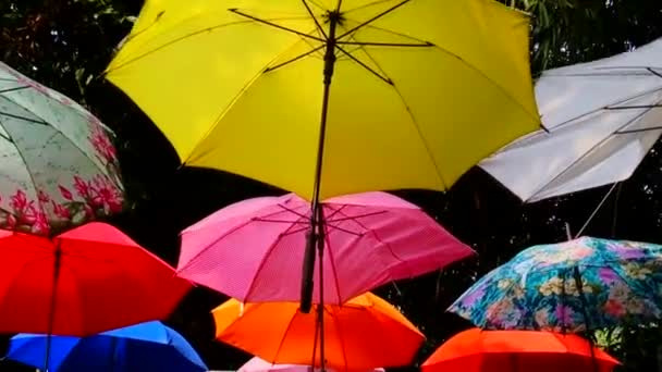 Quezon City October Ninoy Aquino Parks Wildlife Center Hanging Umbrellas — Stock Video