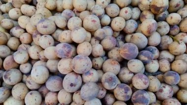 Lansium paraziticum (İngilizce: Langsat, lanzone veya longkong), Malay 'da bulunan Endonezya kökenli bir ağaç türüdür. Türleri Güneydoğu Asya 'ya özgüdür..