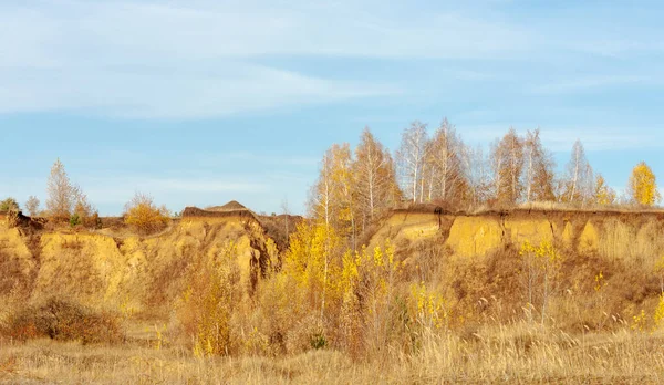 Sonbahar manzarası kumlu bir sarp yamaçlarda.
