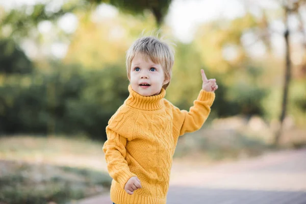 Щаслива Дівчинка Річна Вдягнена Жовтий Язаний Светр Грає Парку Відкритому — стокове фото