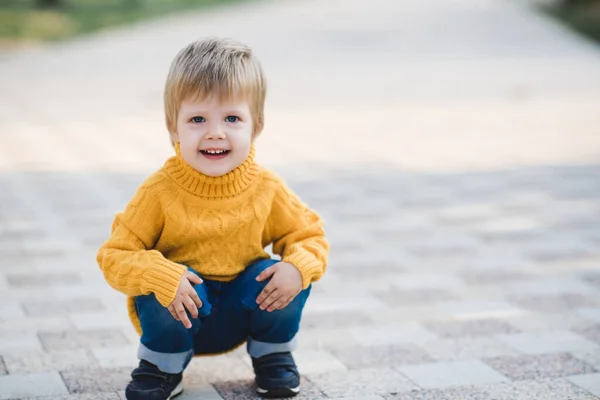 屋外公園で遊んでいる幸せな子供の女の子3 4歳の黄色のニットセーターを着ています 秋のシーズン 子供の頃 カメラを見ると — ストック写真