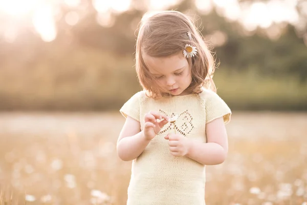 Cute Zabawna Dziewczynka Lat Polu Rumianku Kwiatami Świeżym Powietrzu Czas — Zdjęcie stockowe