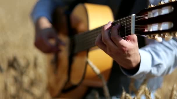 一个吉他手弹奏古典吉他手的特写视频 焦点从一只手的手指向上移动到另一只手 弹奏弦乐时动作平稳 弦的震动 — 图库视频影像