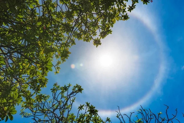 Коронное кольцо солнца — стоковое фото