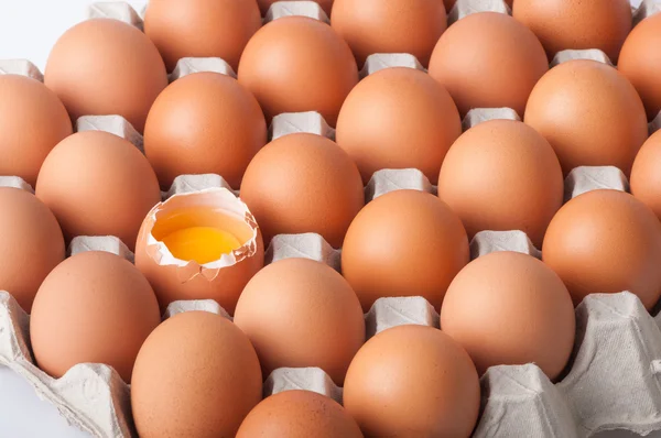 Tavuk yumurta paketleme