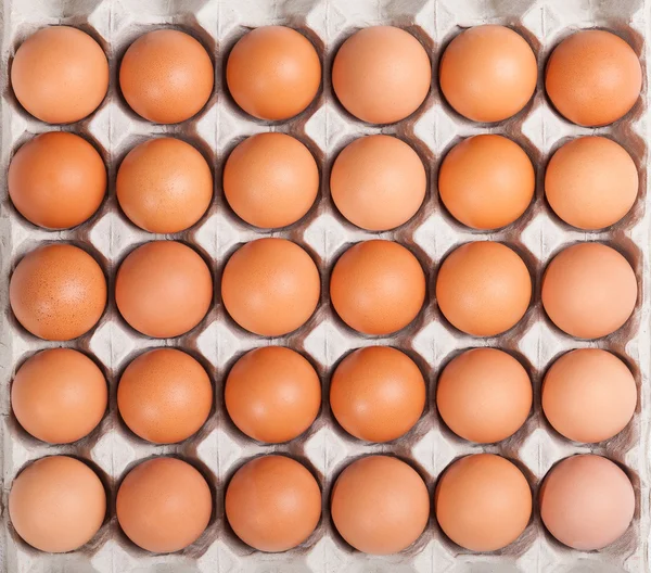 Tavuk yumurta paketleme