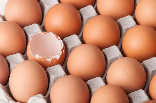 Tavuk yumurta paketleme