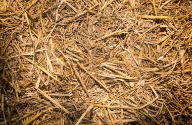 Kuru saman doku arka plan (Üstten Görünüm)