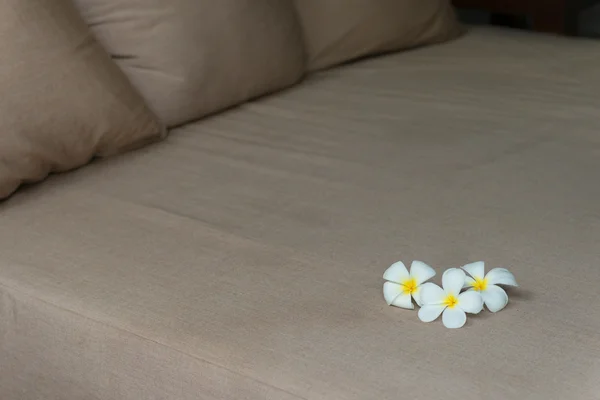 침실에 Plumeria 꽃 — 스톡 사진