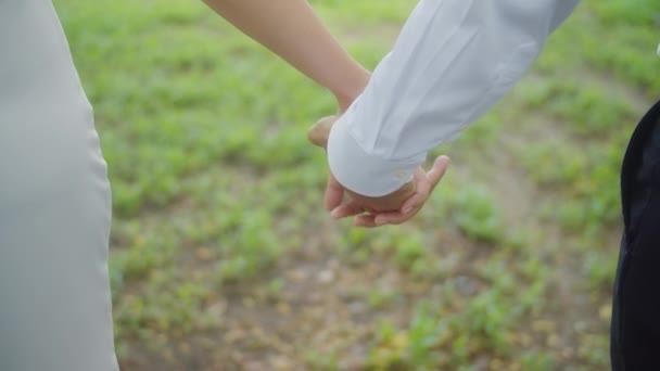 Крупный план рук, пара держащихся за руки на фоне парка, мужчины и женщины рука об руку, романтический момент. — стоковое видео