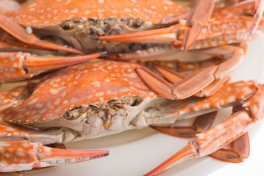 buharda pişmiş Yengeç deniz ürünleri için