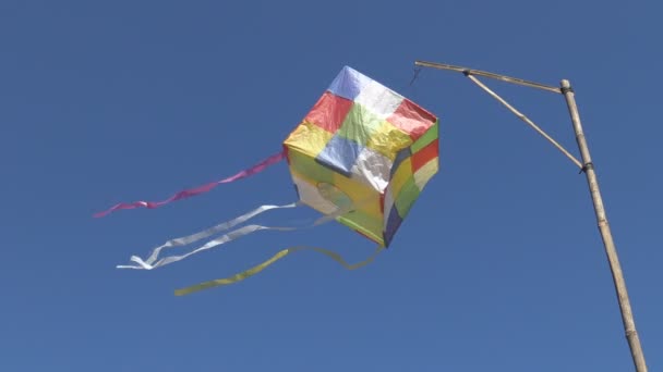 Wind blows lanna lantern paper. — Stock Video