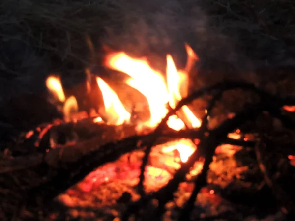 Bonfire Forest Tree Branches Fire Night Spring — Stock Photo, Image