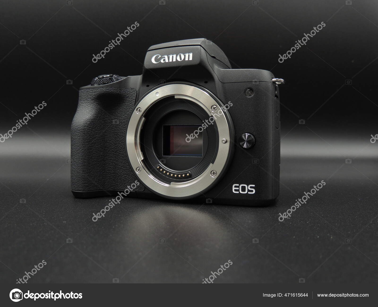 Wildlife Photography Canon M50 Photo Quality Lens Canon M50