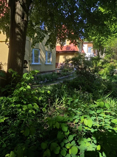 Moderne Mooie Huizen Met Natuur Rondom Een Zonnige Zomerdag Moderne — Stockfoto