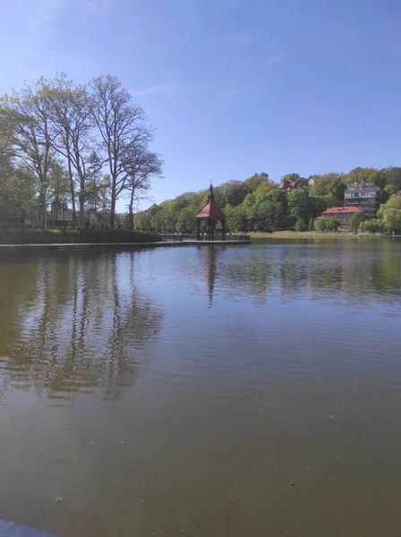 Kaliningrad Natuur Stad Een Park Met Bomen Een Rivier Een — Stockfoto