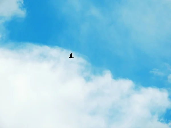 Blauwe Lucht Met Wolken Boven Rusland Zomer Luchten Russische Lucht — Stockfoto
