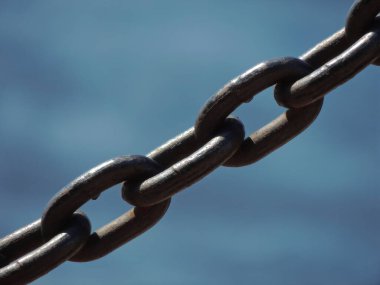 Suyun arka planında deniz zinciri var. Mavi arkaplanlı makro fotoğrafçılık.