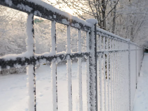 Cerca Coberta Neve Neve Luz Sol — Fotografia de Stock