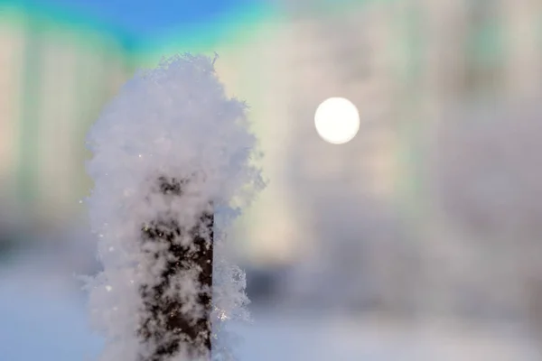 Recinzione Ghiacciata Nella Neve Neve Vicino — Foto Stock